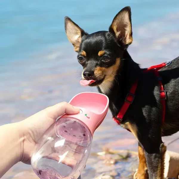 Bouteille d Eau Portable pour Chien et Chat Filles de Voyage pour Chiot en Plein Air 5