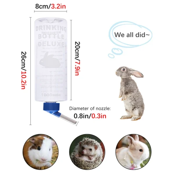 Bouteille d eau suspendue pour petits animaux buveur automatique mangeoire pour lapin overd inde perroquet document 2