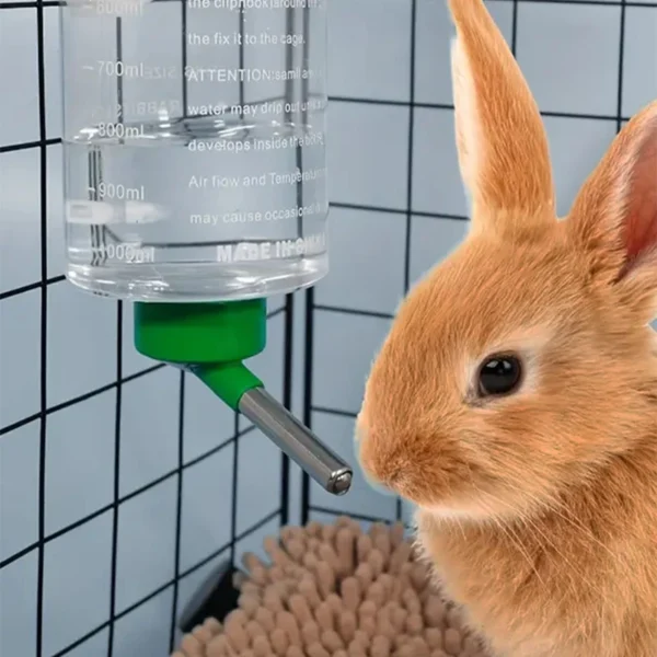 Bouteille d eau suspendue pour petits animaux buveur automatique mangeoire pour lapin overd inde perroquet document