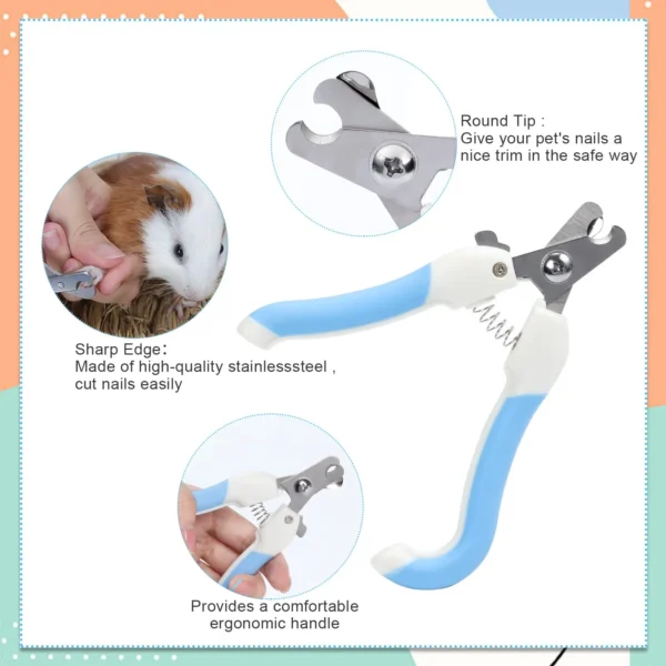 Ensemble de brosses pour petits animaux de compagnie ensemble de beaut pour lapin pluchage de beaut 3