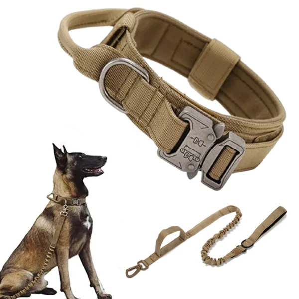 Ensemble de collier de chien durable r glable laisse militaire pour animaux de compagnie moyen et 2