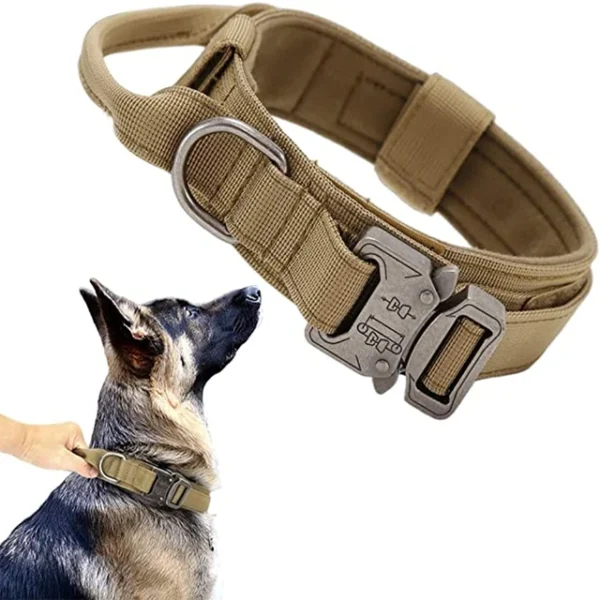 Ensemble de collier de chien durable r glable laisse militaire pour animaux de compagnie moyen et.jpg 640x640 1