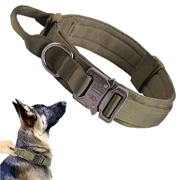 Ensemble de collier de chien durable r glable laisse militaire pour animaux de compagnie moyen et.jpg 640x640 10