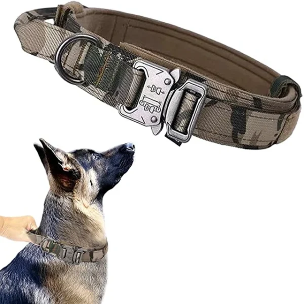 Ensemble de collier de chien durable r glable laisse militaire pour animaux de compagnie moyen et.jpg 640x640 11