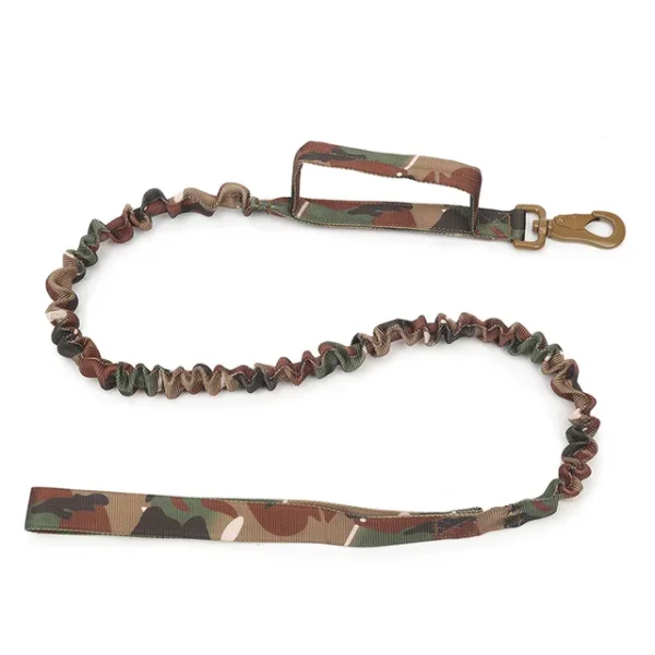 Ensemble de collier de chien durable r glable laisse militaire pour animaux de compagnie moyen et.jpg 640x640 15