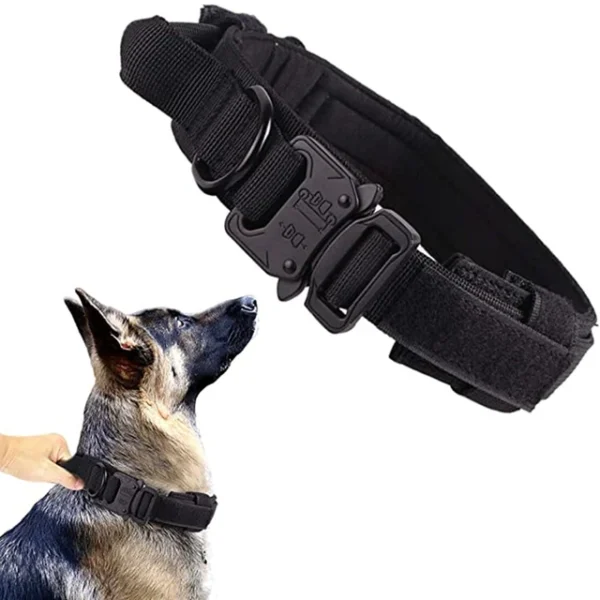 Ensemble de collier de chien durable r glable laisse militaire pour animaux de compagnie moyen