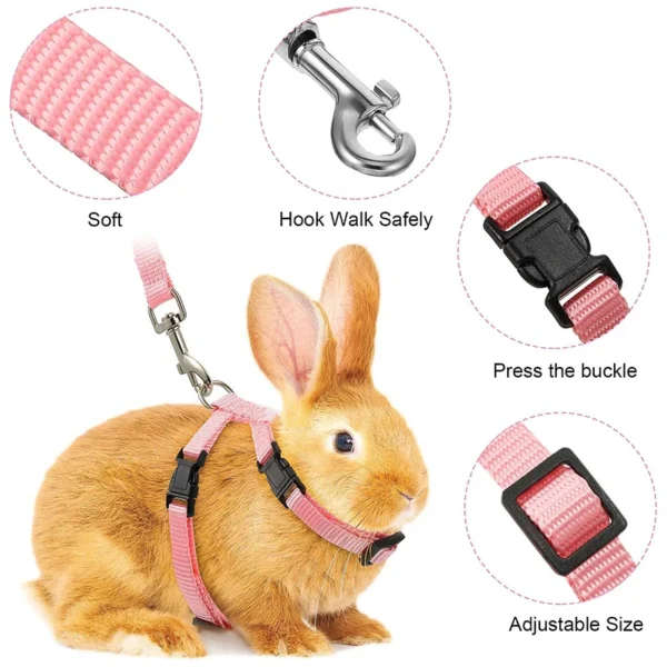 HarNISSAN Ensemble de Laisse et Lapin Chat SFP R glable en Nylon Fournitures de Marche en 3