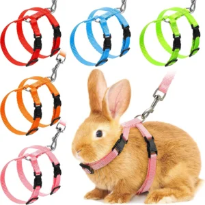 HarNISSAN-Ensemble de Laisse et Lapin Chat SFP Réglable en Nylon, Fournitures de Marche en Plein Air pour Animaux de Compagnie, Accessoires, Prix Bas